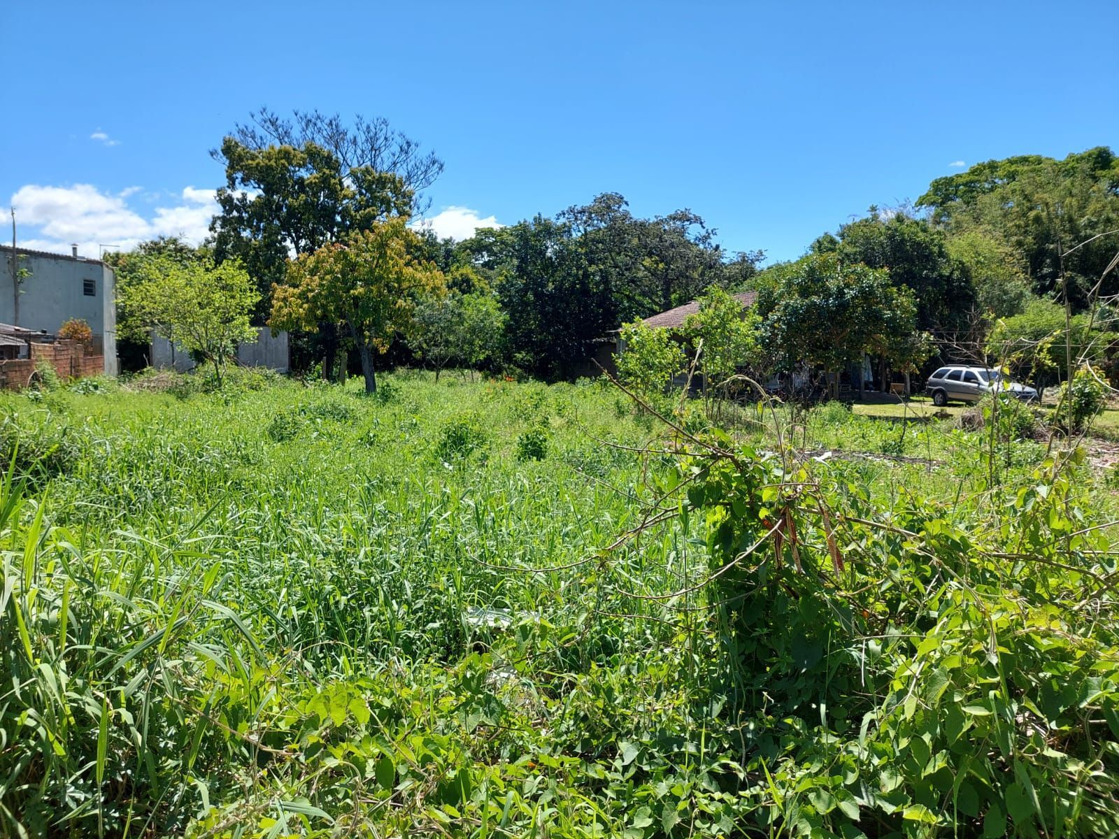 Terreno, 630 m² - Foto 13