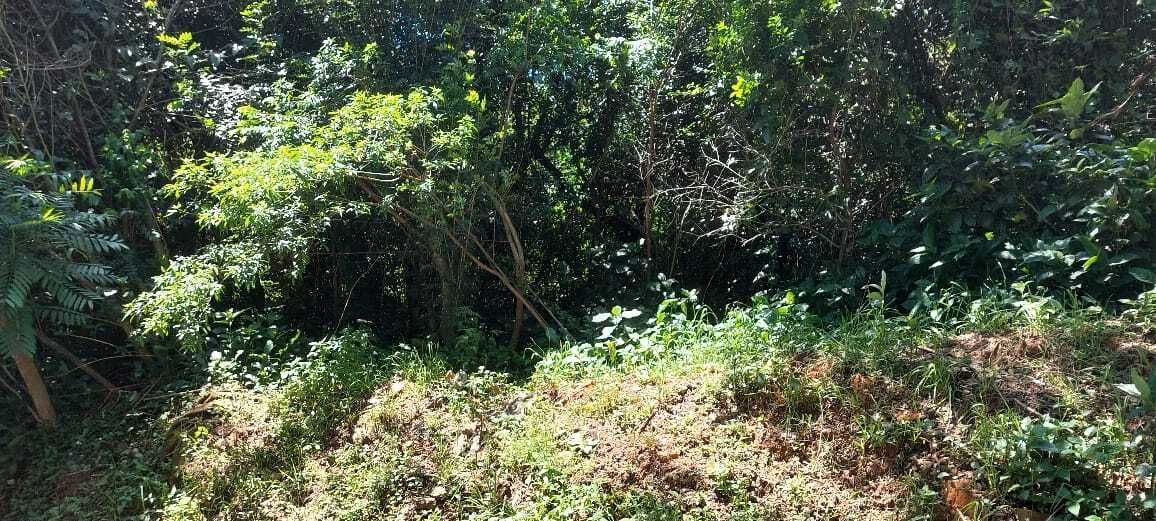 Terreno, 420 m² - Foto 6