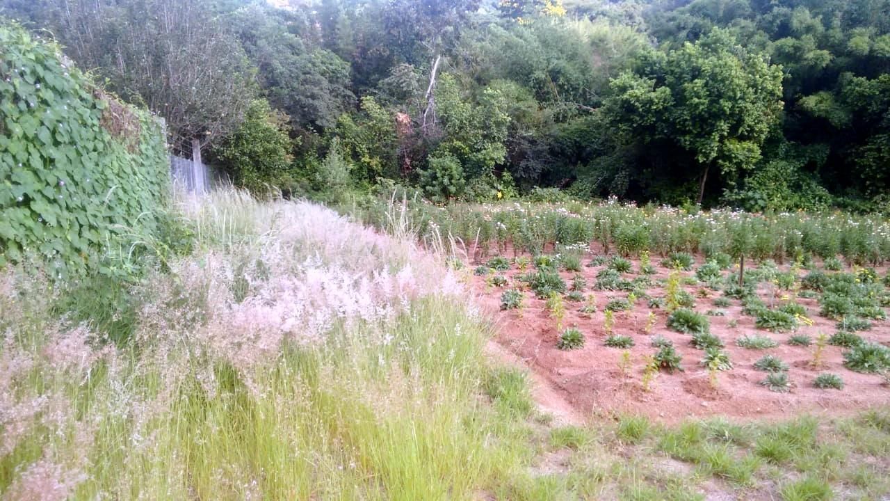 Terreno, 1 hectares - Foto 16