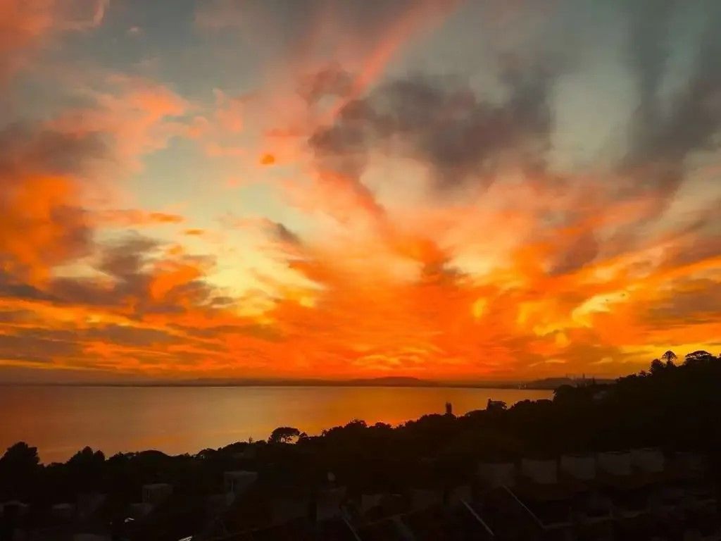 Casa, 5 quartos, 648 m² - Foto 11