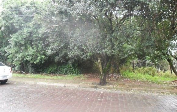 Terreno, 1200 m² - Foto 2