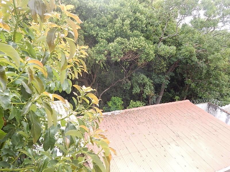 Casa à venda com 3 quartos, 187m² - Foto 31