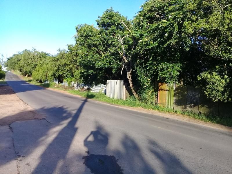 Terreno, 6105 m² - Foto 7