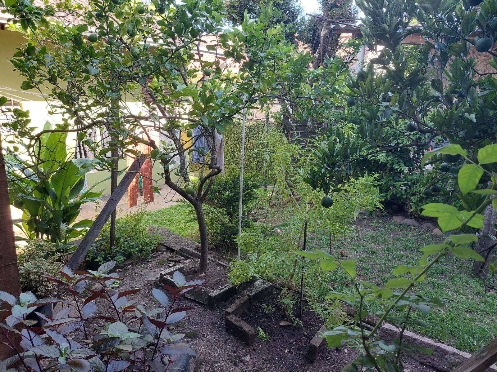 Casa, 4 quartos, 120 m² - Foto 26