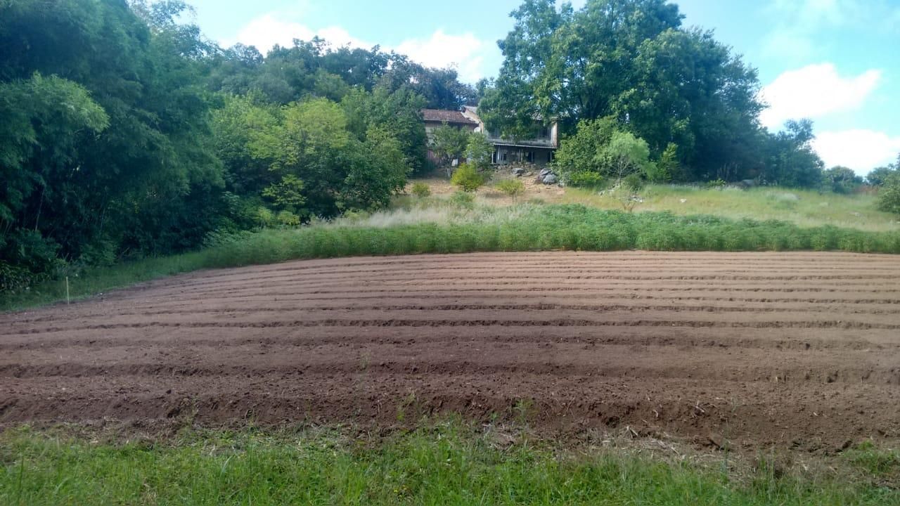 Terreno, 1 hectares - Foto 8