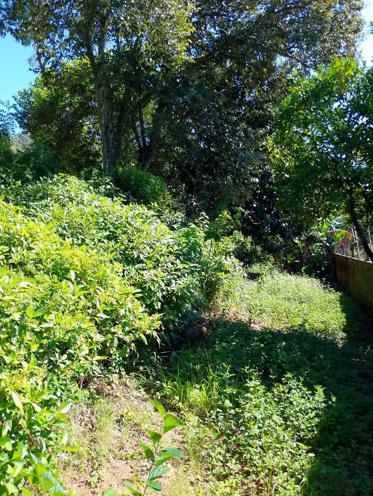 Terreno, 600 m² - Foto 7