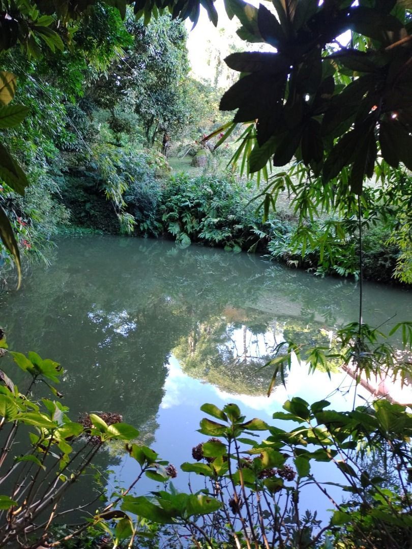 Casa, 4 quartos, 329 m² - Foto 16