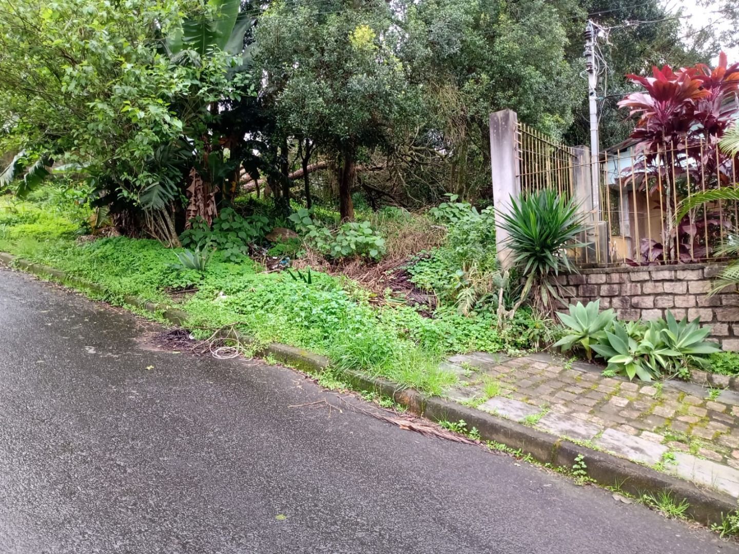 Terreno, 600 m² - Foto 6