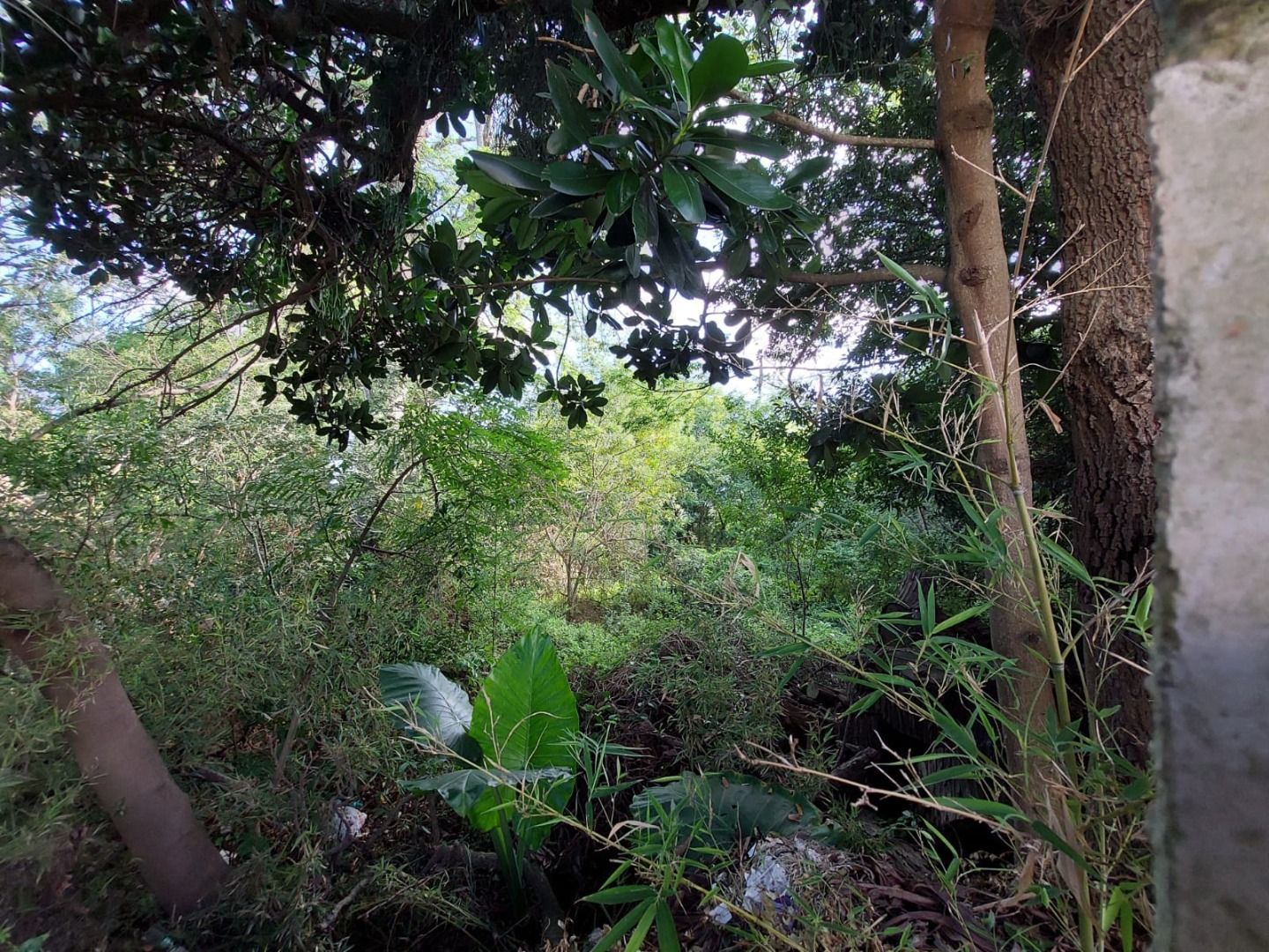 Terreno, 2747 m² - Foto 4