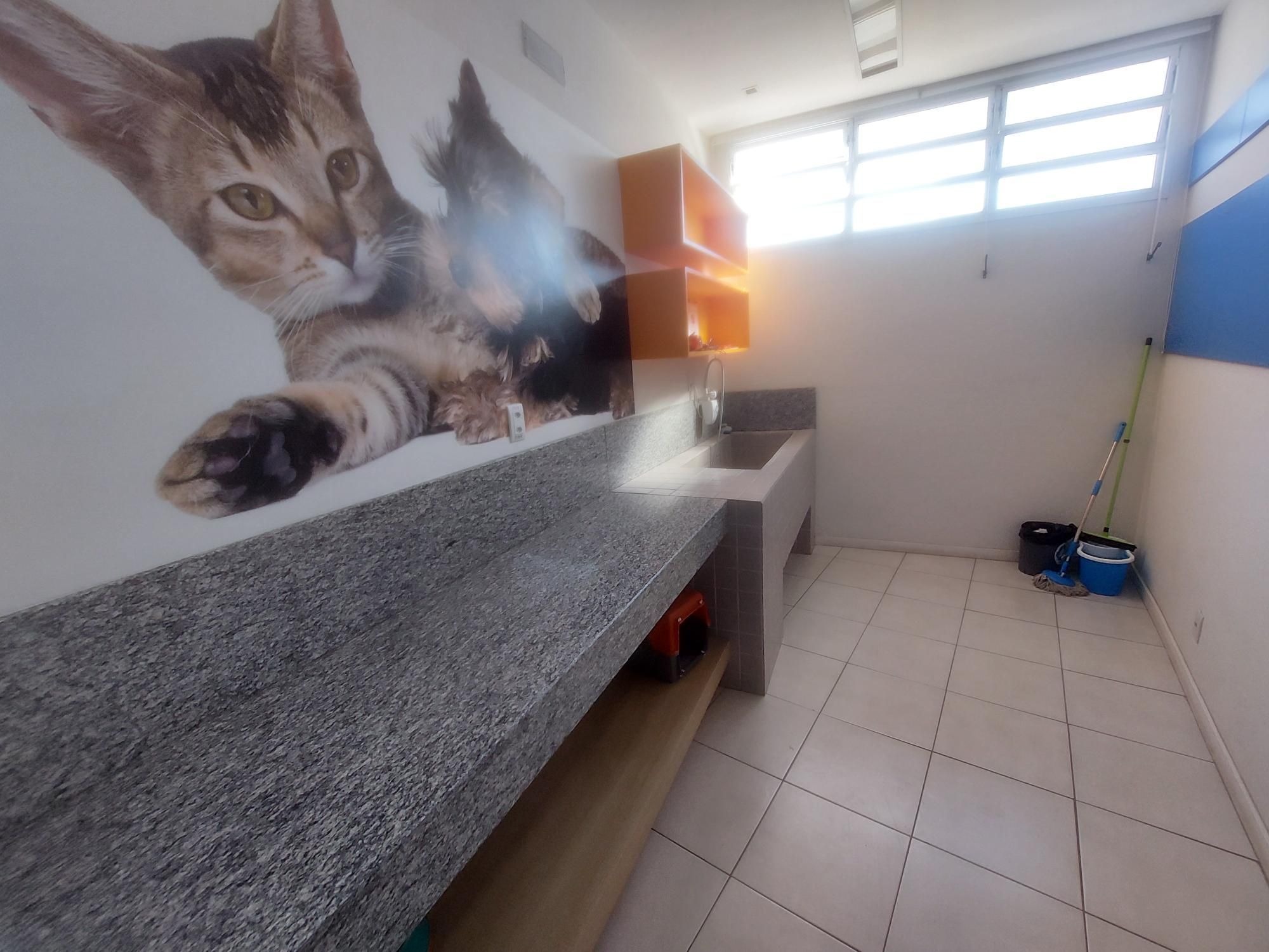 Apartamento, 2 quartos, 55 m² - Foto 43
