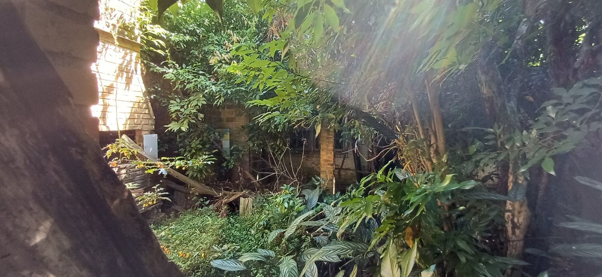 Terreno, 496 m² - Foto 5