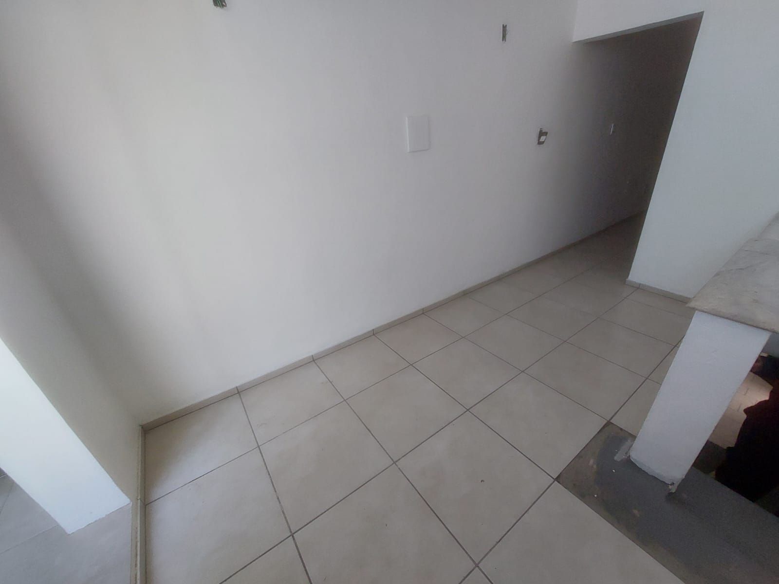 Casa, 4 quartos, 250 m² - Foto 30