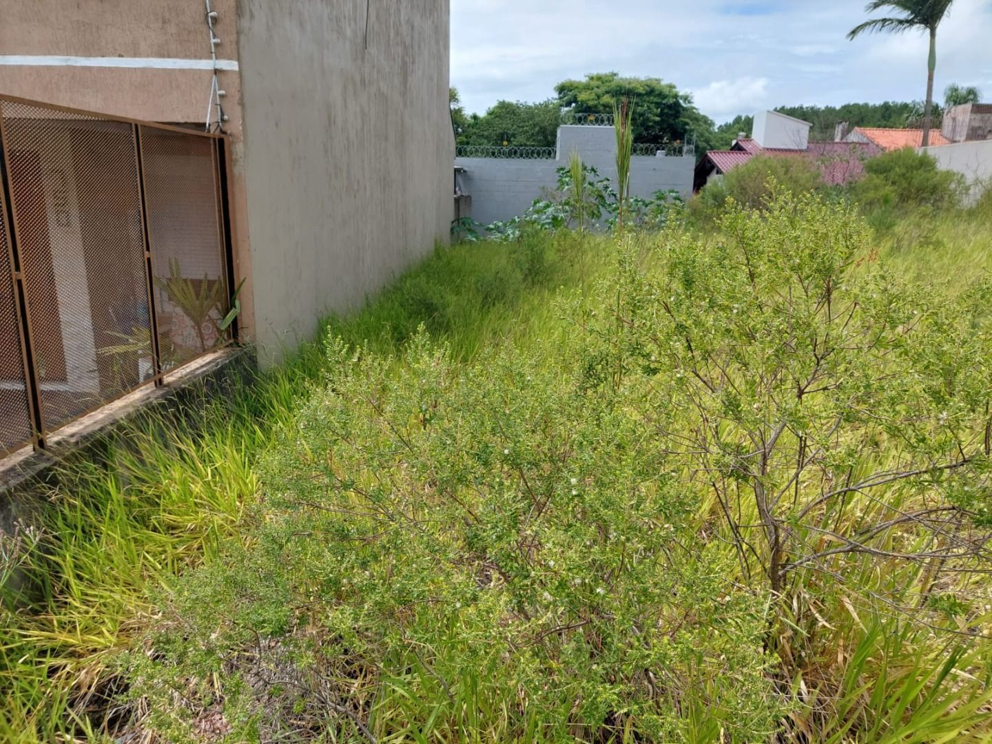 Terreno, 238 m² - Foto 7