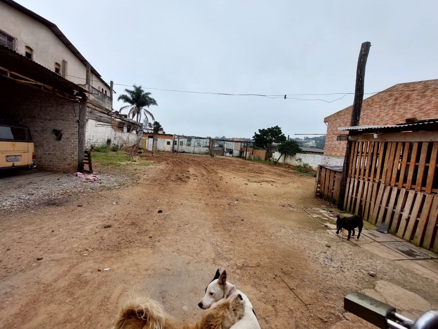 Terreno, 1210 m² - Foto 8