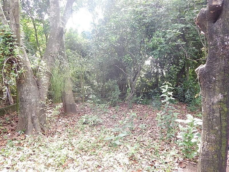 Casa à venda com 3 quartos, 187m² - Foto 46