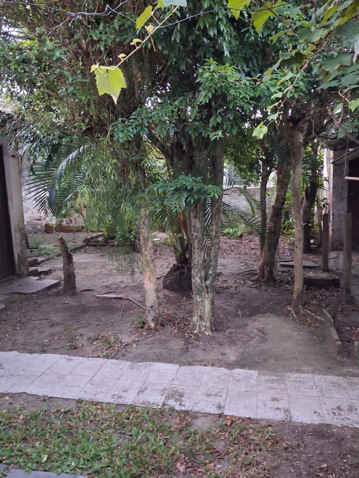 Casa, 3 quartos, 115 m² - Foto 3