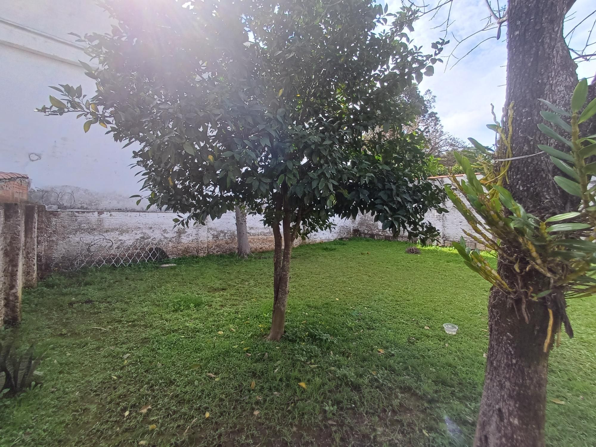 Casa à venda com 3 quartos, 114m² - Foto 40