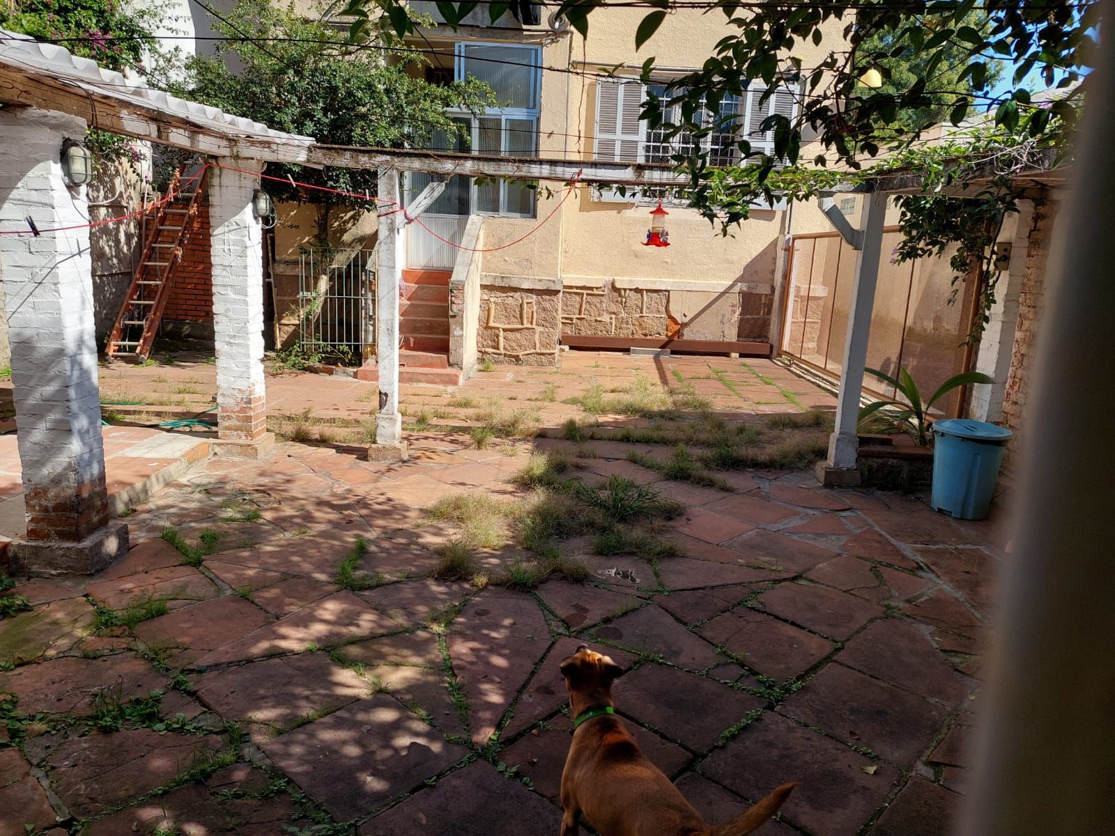 Casa, 4 quartos, 230 m² - Foto 47