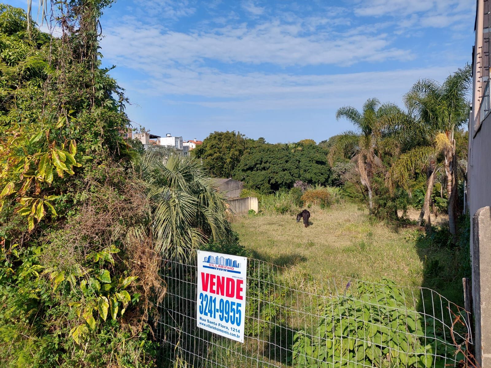 Terreno, 1500 m² - Foto 8