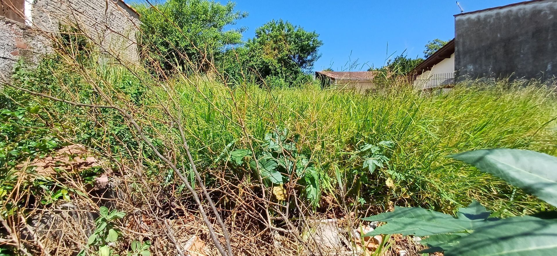 Terreno, 297 m² - Foto 9