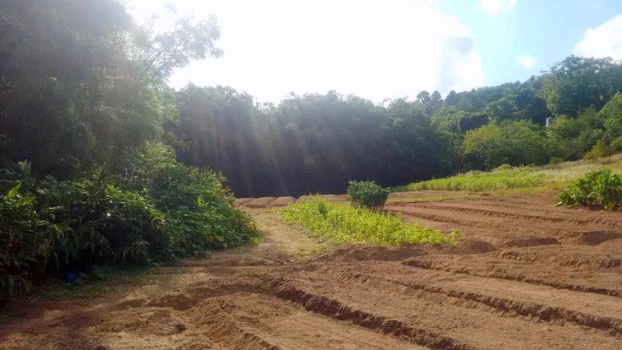 Terreno, 1 hectares - Foto 19