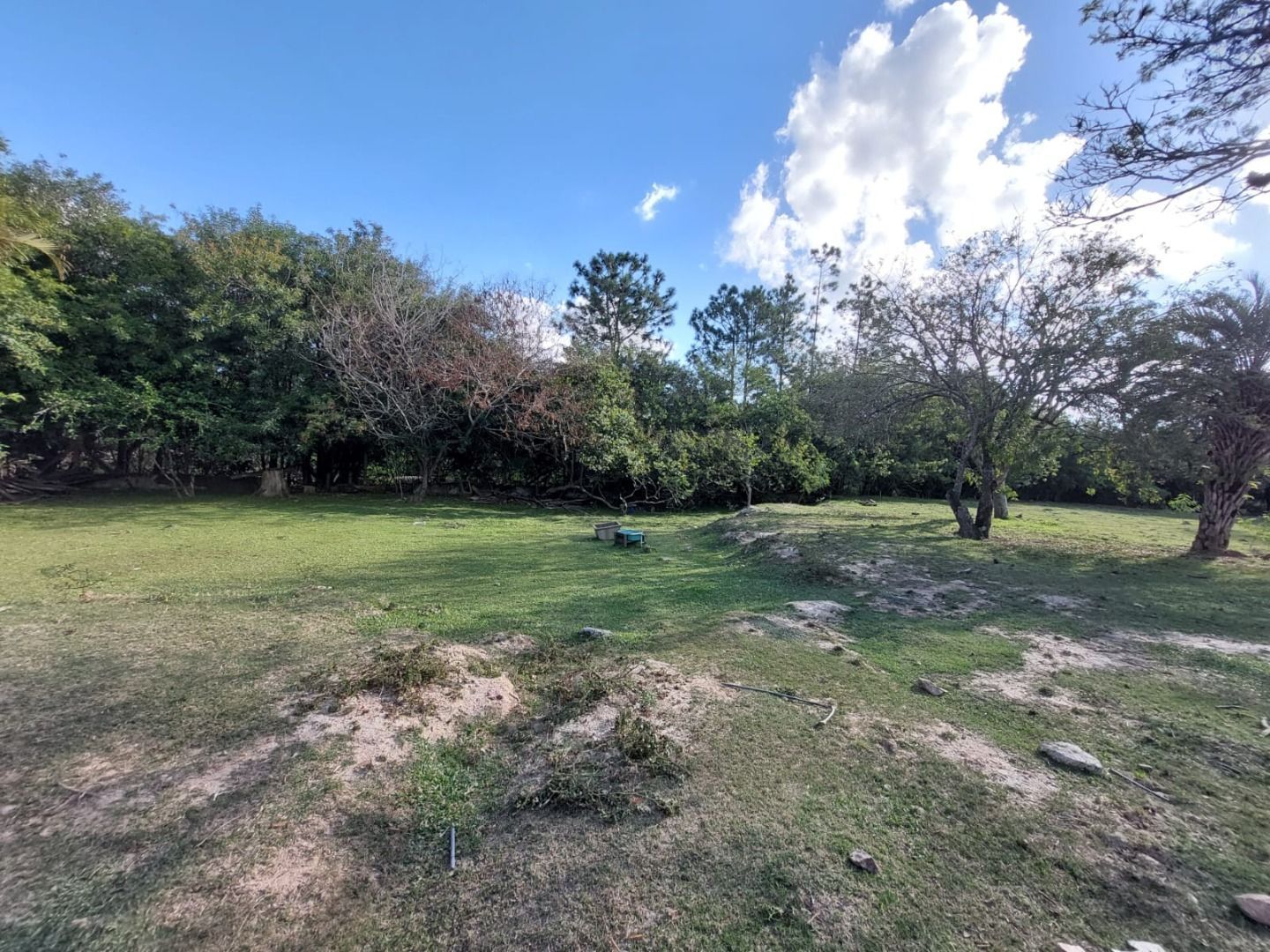 Casa, 4 quartos, 483 m² - Foto 2