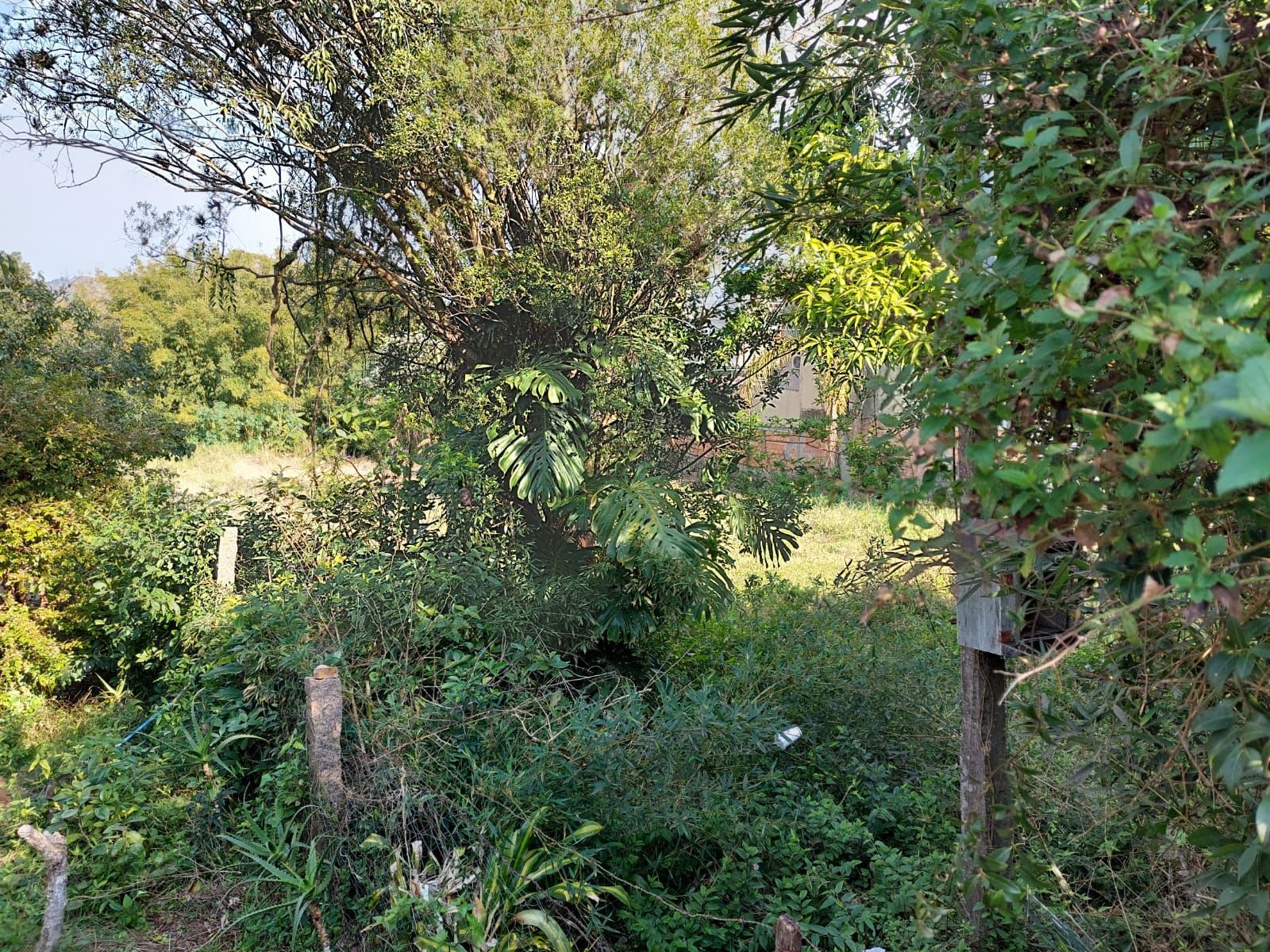 Terreno, 1500 m² - Foto 7