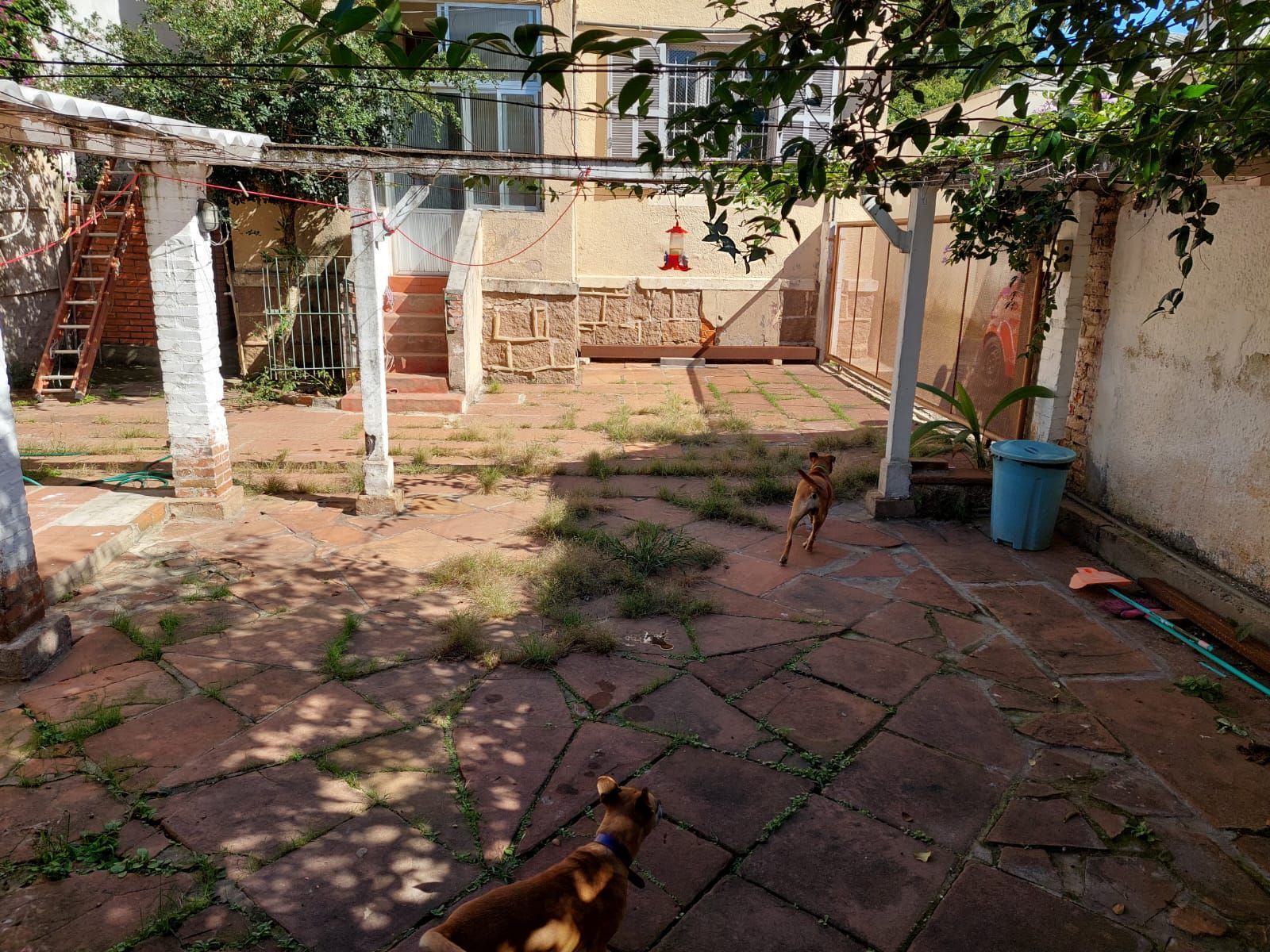 Casa, 4 quartos, 230 m² - Foto 45