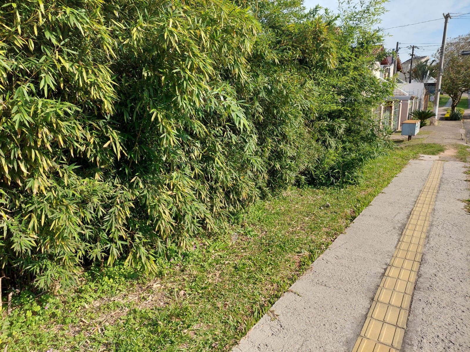 Terreno, 1500 m² - Foto 6