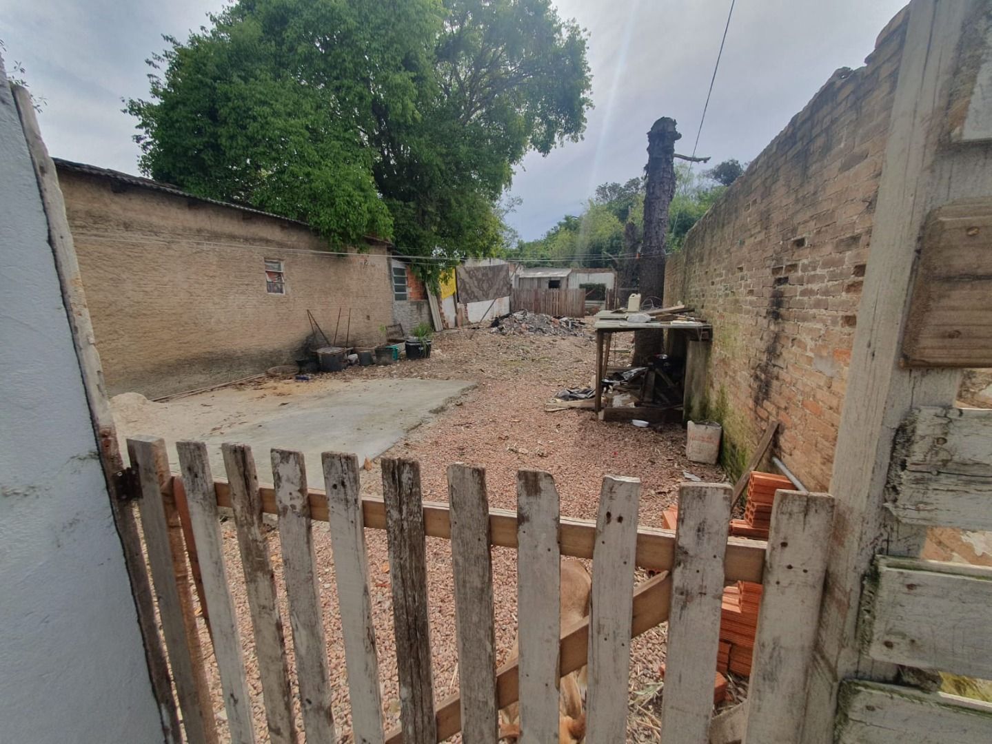 Depósito-Galpão-Armazém à venda, 196m² - Foto 12