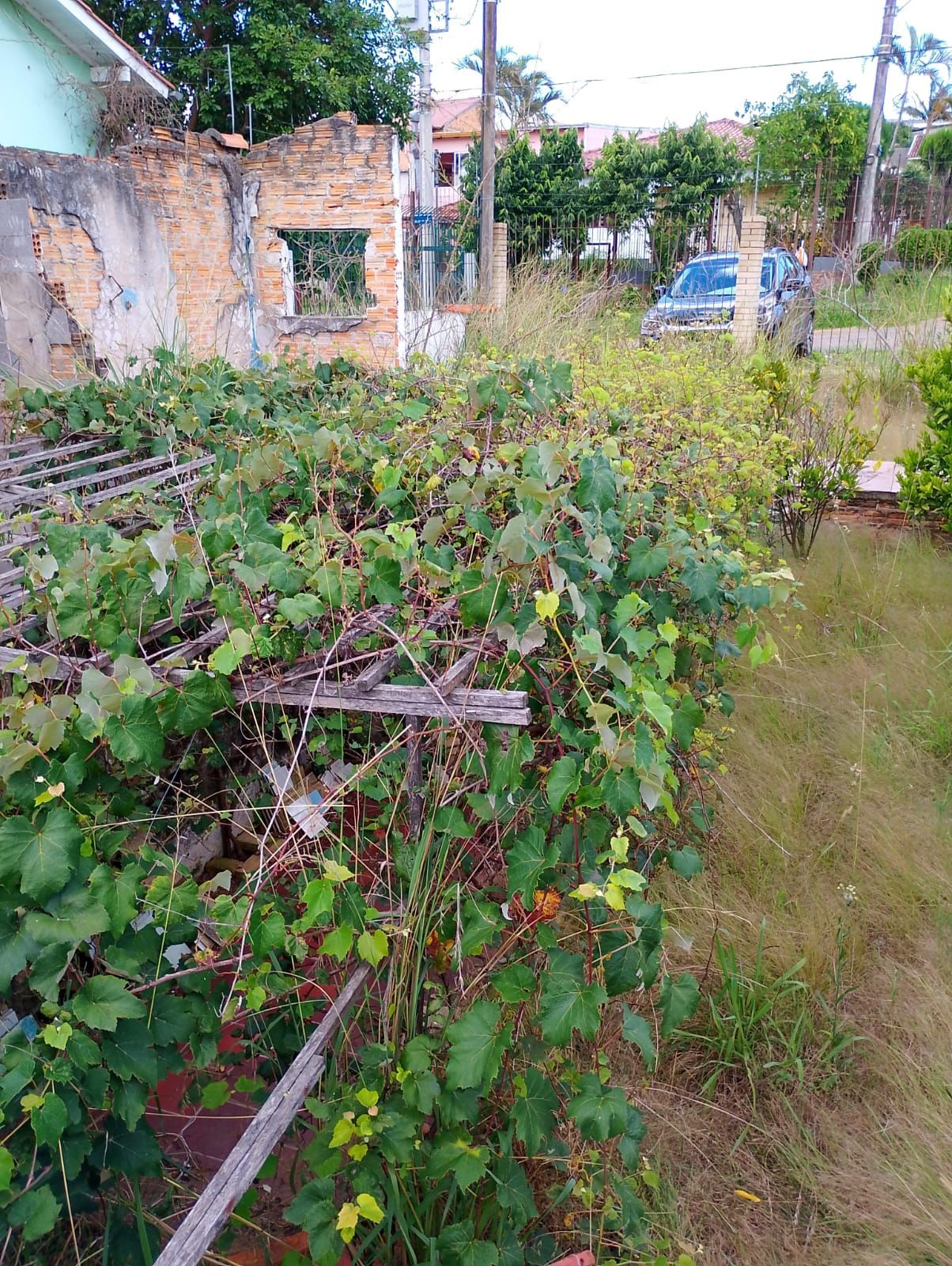 Casa, 1 quarto, 115 m² - Foto 11