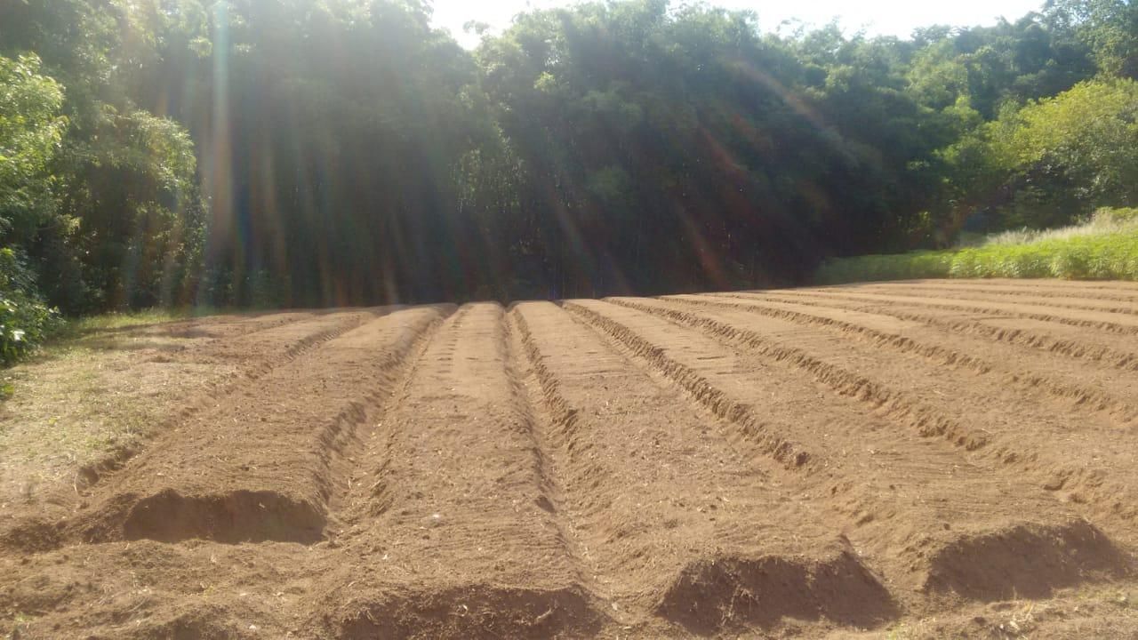 Terreno, 1 hectares - Foto 15