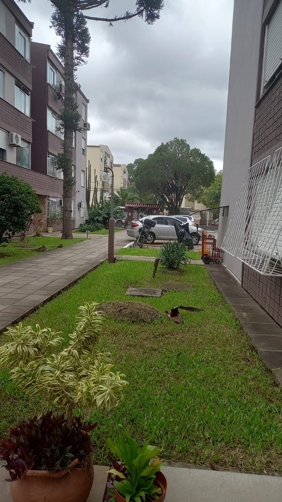 Apartamento, 3 quartos, 64 m² - Foto 5