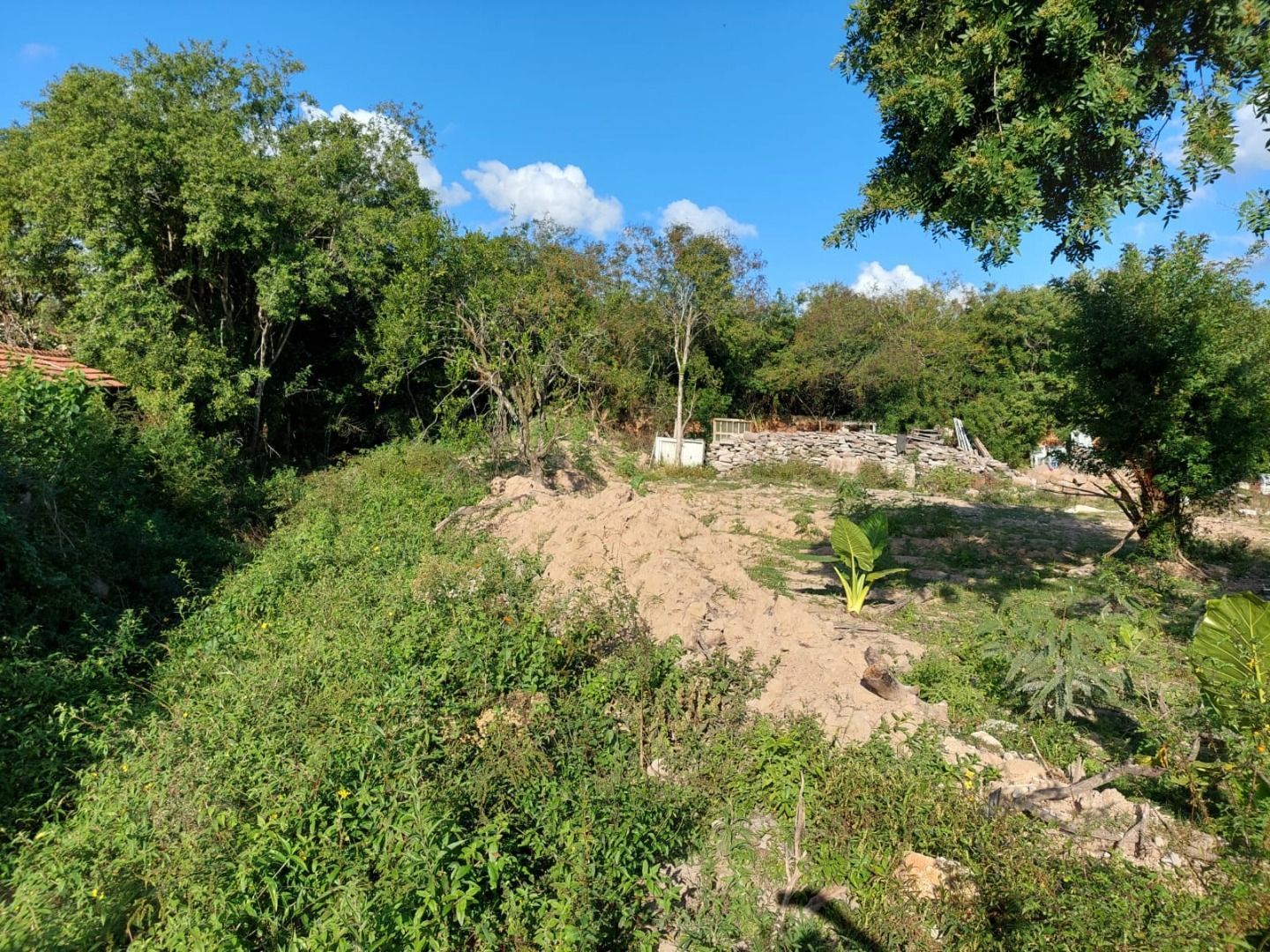 Casa, 4 quartos, 483 m² - Foto 29