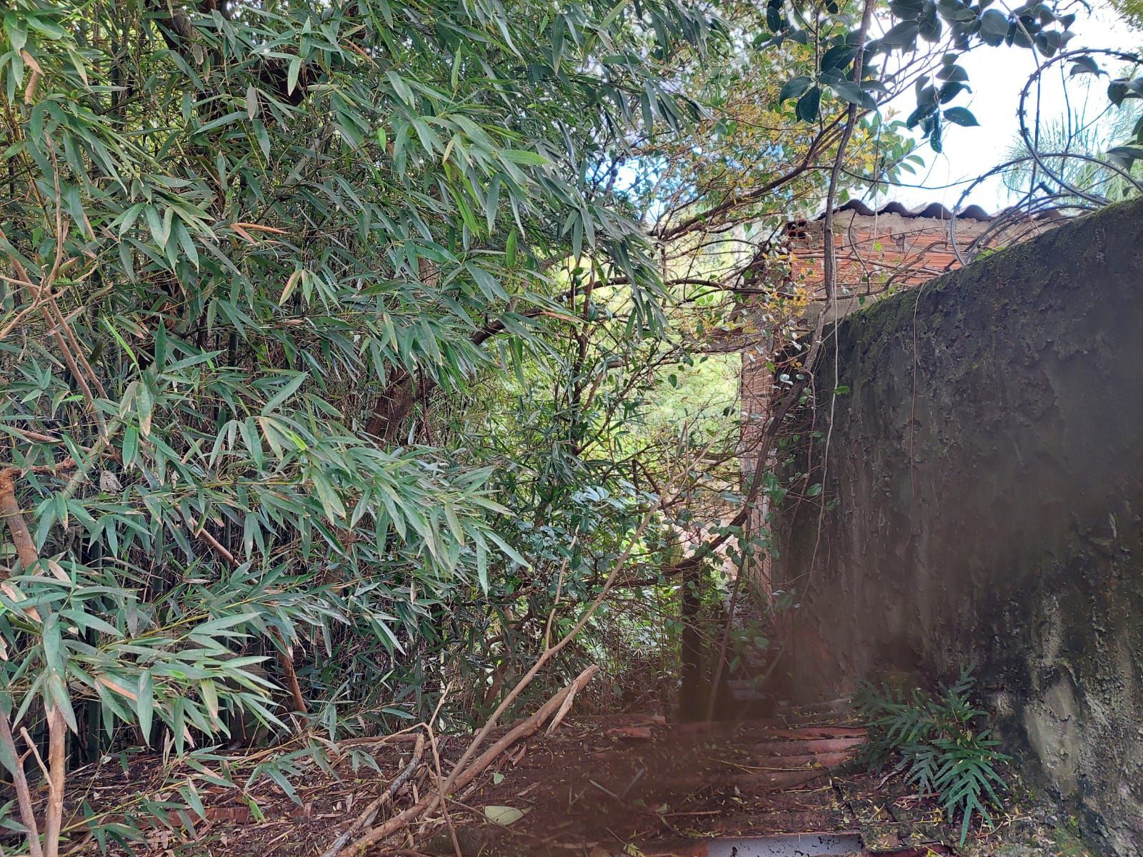Terreno, 1 m² - Foto 12