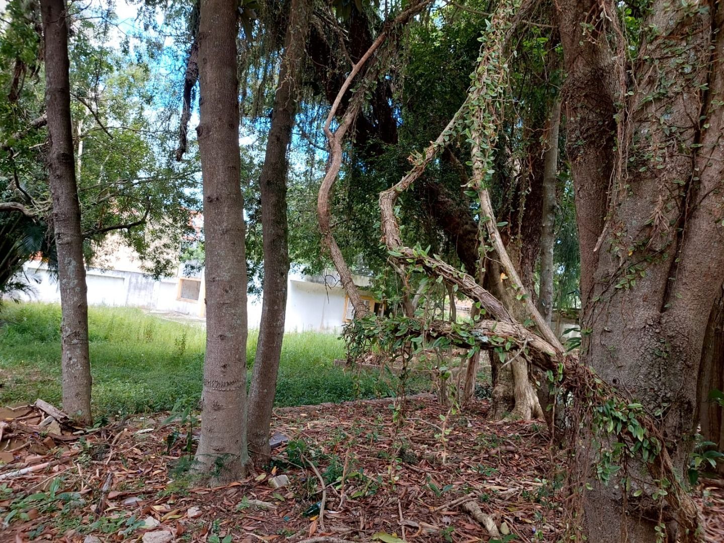 Terreno à venda, 4400m² - Foto 15