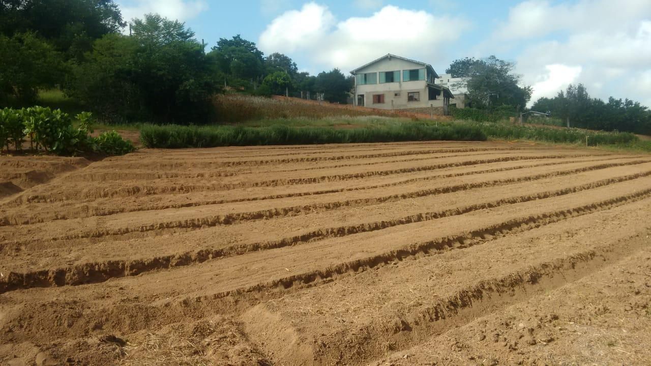 Terreno, 1 hectares - Foto 20