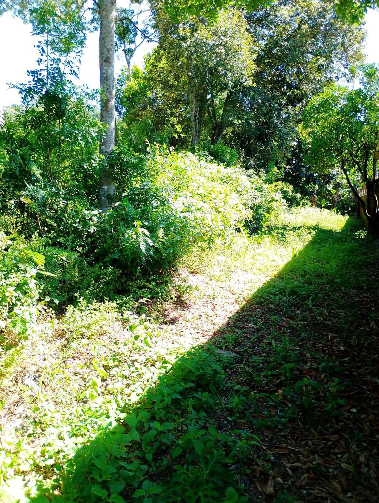 Terreno, 600 m² - Foto 9