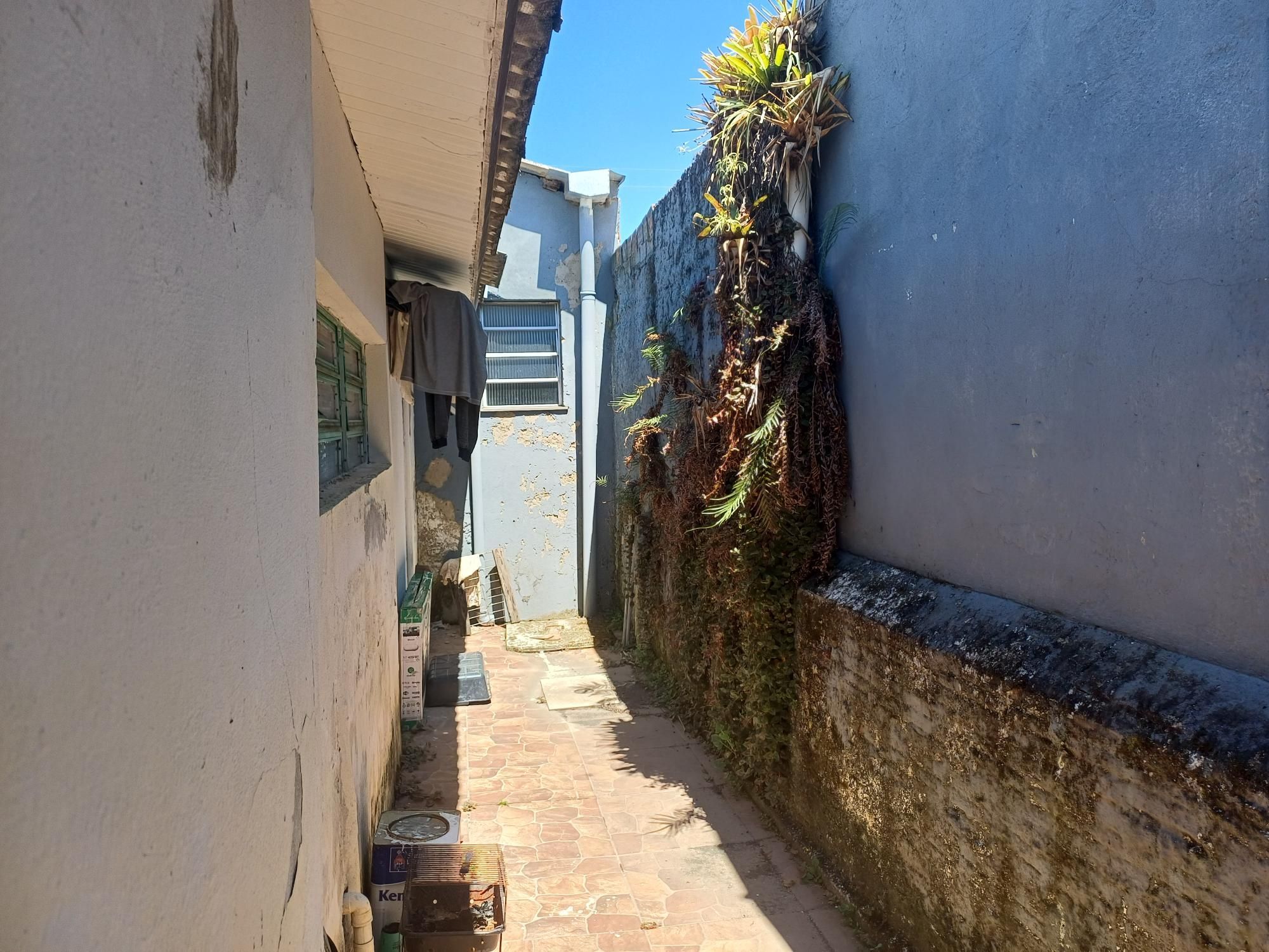 Casa, 5 quartos, 300 m² - Foto 7