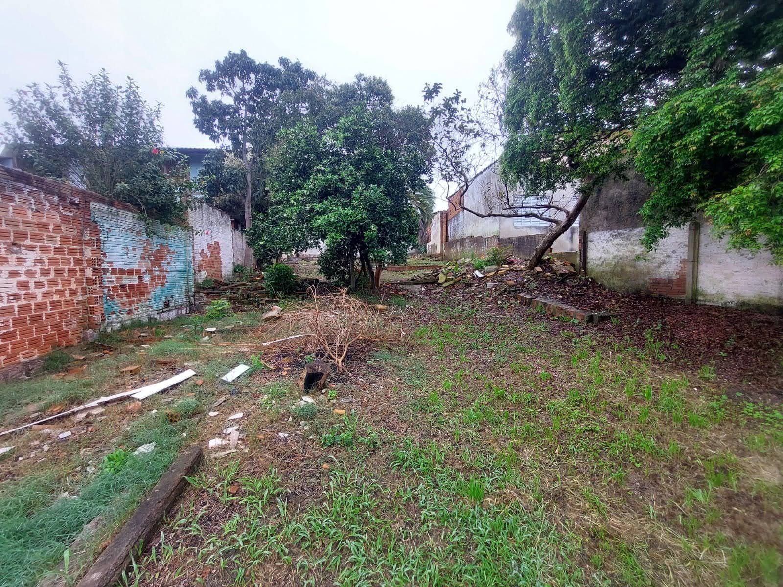 Terreno, 300 m² - Foto 7