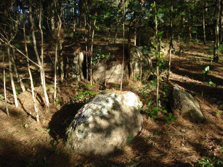 Terreno, 3750 m² - Foto 7