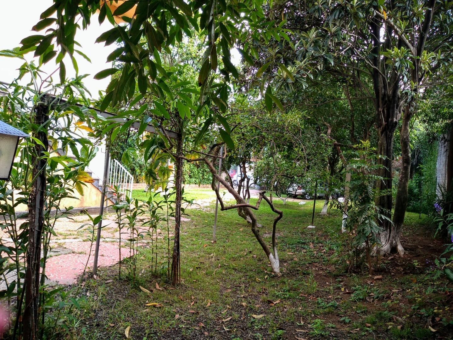 Casa, 6 quartos, 200 m² - Foto 8