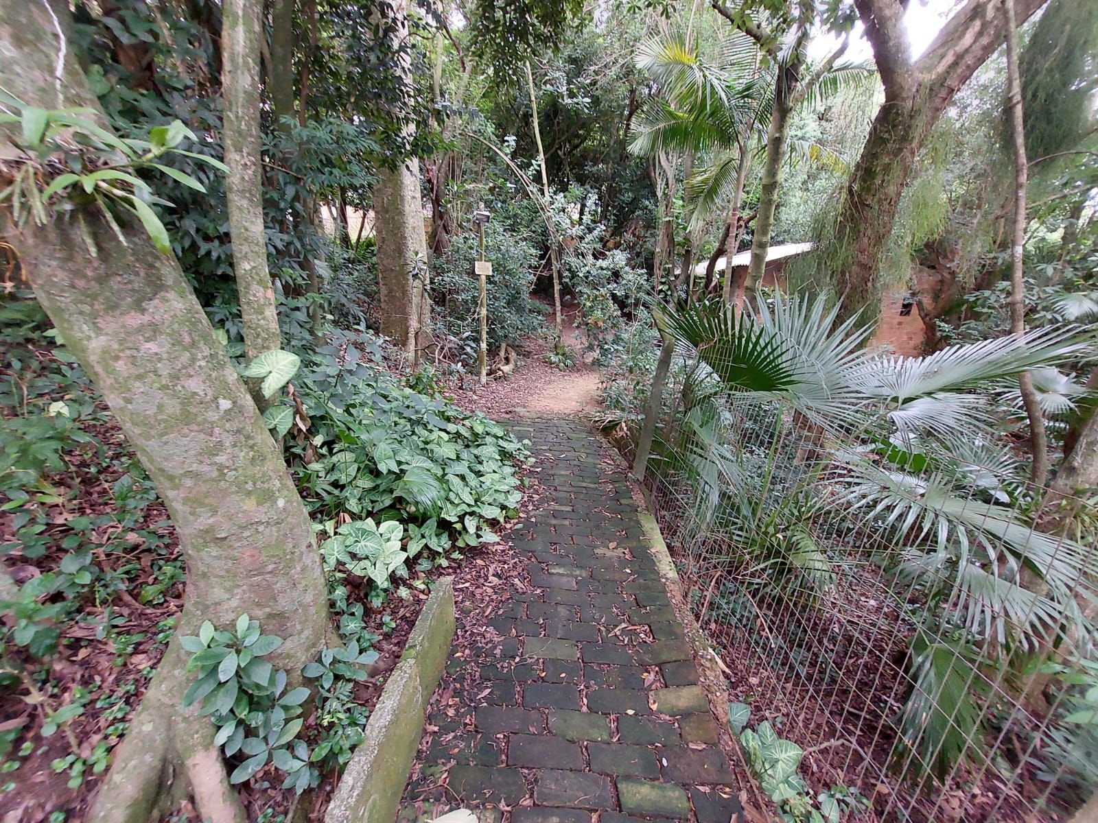 Apartamento à venda com 2 quartos, 59m² - Foto 12