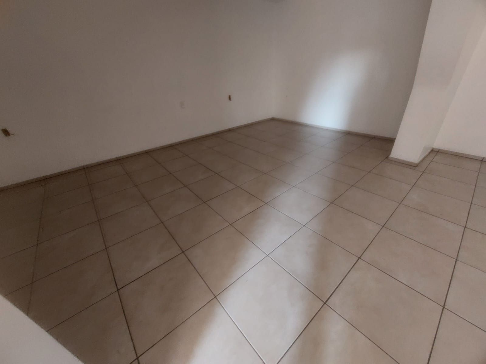 Casa, 4 quartos, 250 m² - Foto 39