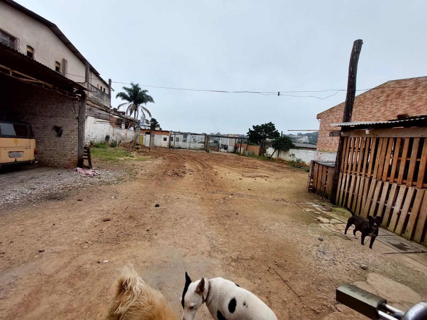 Terreno, 1210 m² - Foto 6