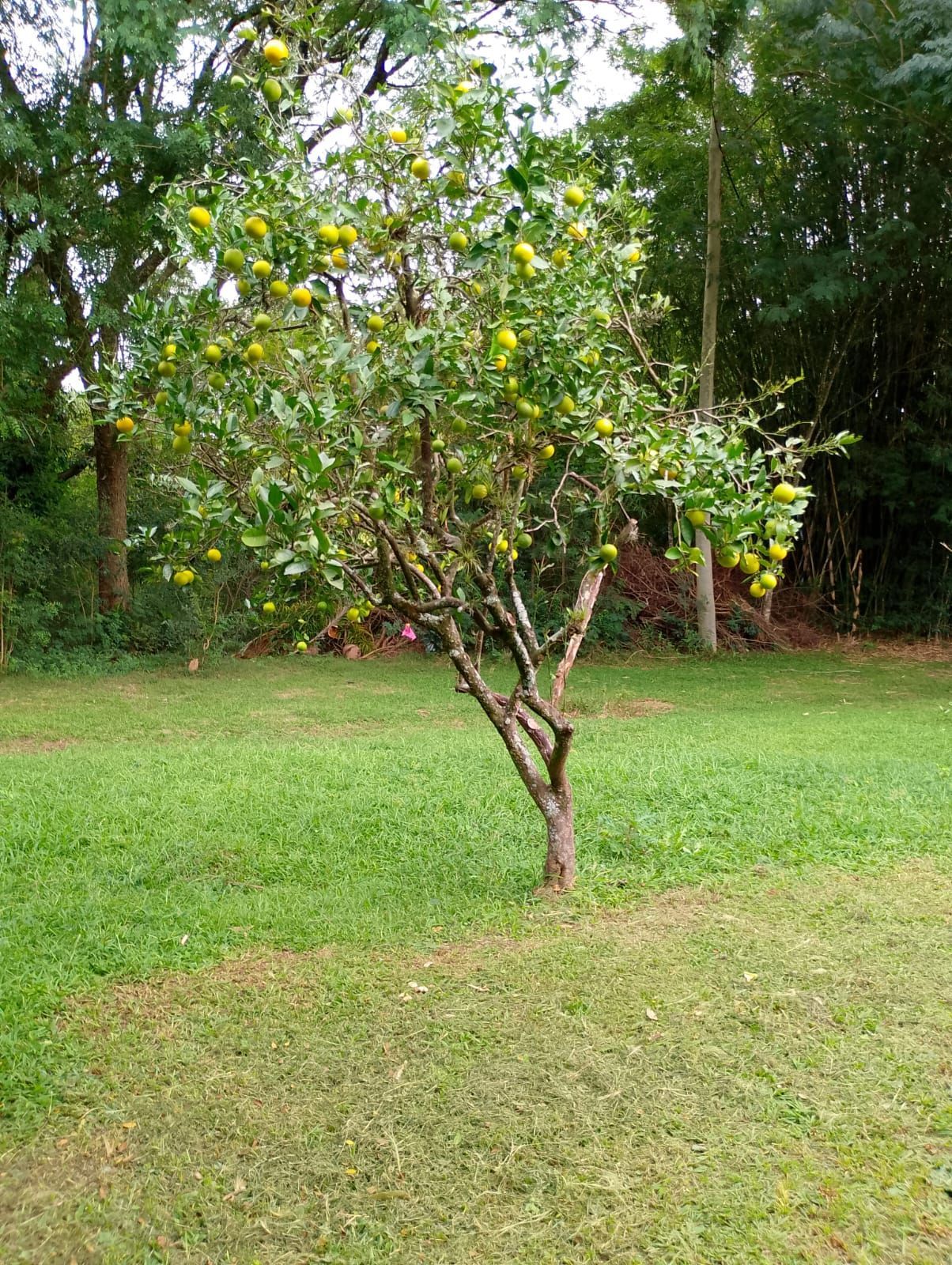Terreno, 138 m² - Foto 6