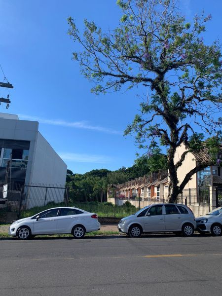 Terreno, 1699 m² - Foto 6