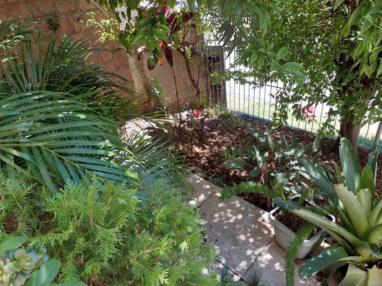 Casa, 3 quartos, 180 m² - Foto 9