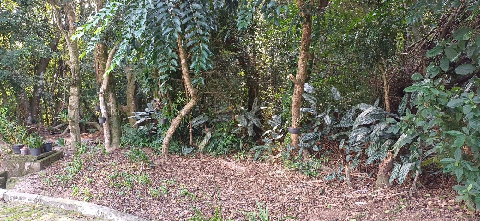 Casa, 3 quartos, 270 m² - Foto 62