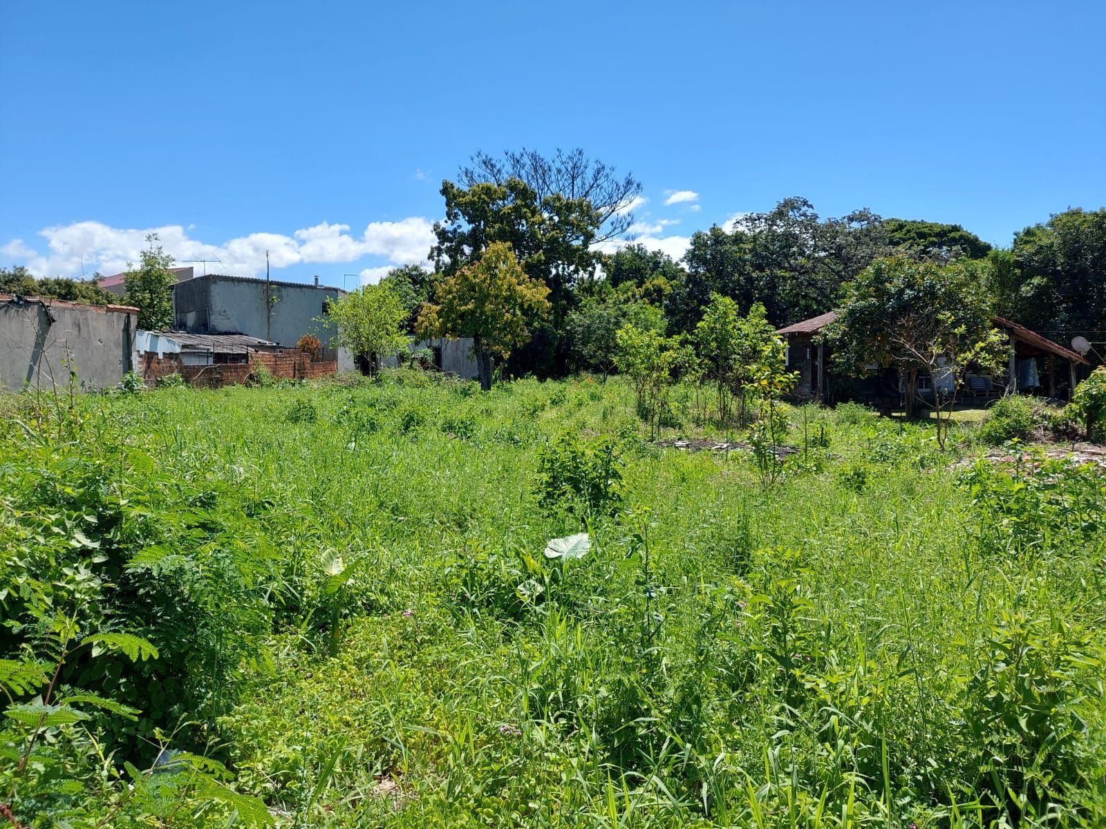 Terreno, 630 m² - Foto 18